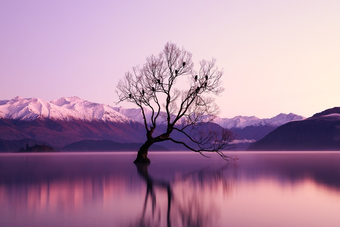 raw-image