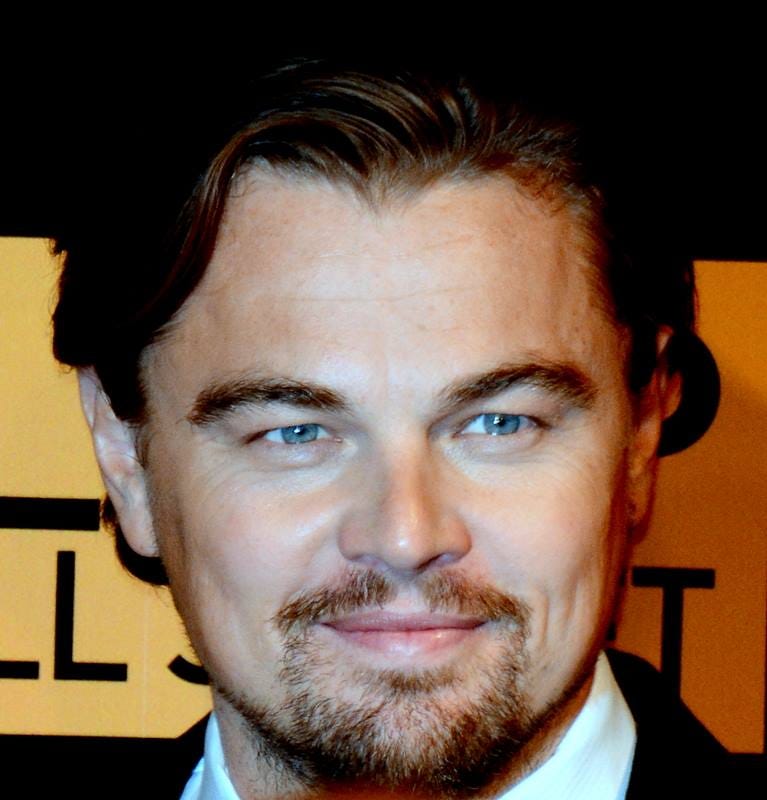 Georges Biard (https://commons.wikimedia.org/wiki/File:Leonardo_DiCaprio_avp_2013_3.jpg), “Leonardo DiCaprio avp 2013 3”, https://creativecommons.org/licenses/by-sa/3.0/legalcode