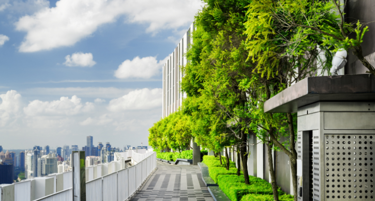 Bringing Green into Urban Landscapes: The Advantages of Smart Live Walls Powered by NB-IoT