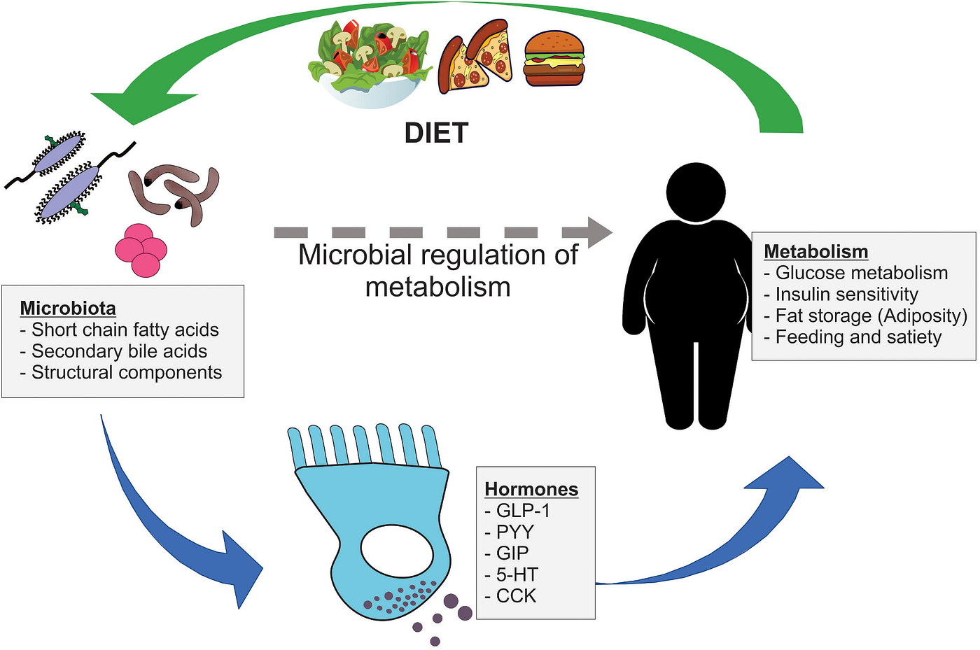 Alimentos para la microbiota