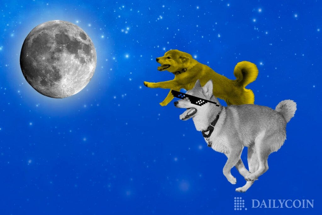 Dog Race Between SHIB & DOGE: Which Memecoin Will Go to The Moon First?