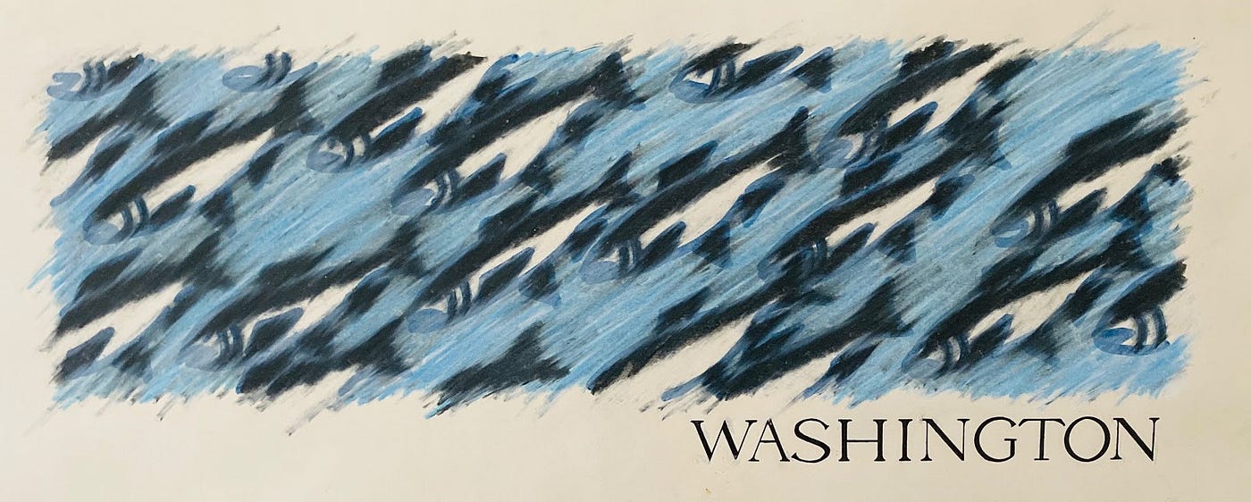 The Literacy Journey of an Artist by Nalani K. Matautia Medium