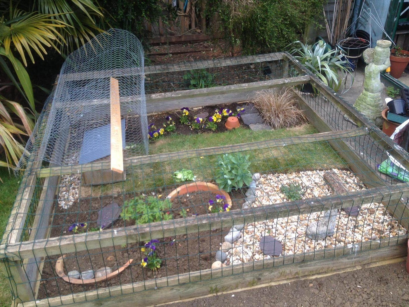 making a tortoise enclosure