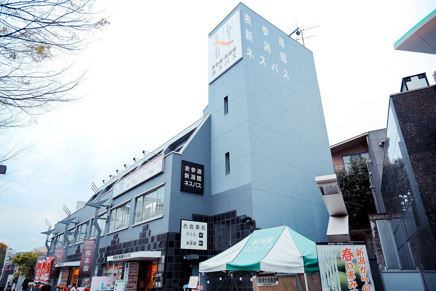 東京 表参道 建築大師們的作品展示場 對遊客來說 表參道 是個集潮流及時尚的旅遊熱點 而對建築師來說 這裏便是他們的 By 西文 東京 表参道 建築大師們的作品展示場 對遊客來說 表參道 是個集潮流及時尚的旅遊熱點 而對建築師來說 這裏便是他們的 By 西文