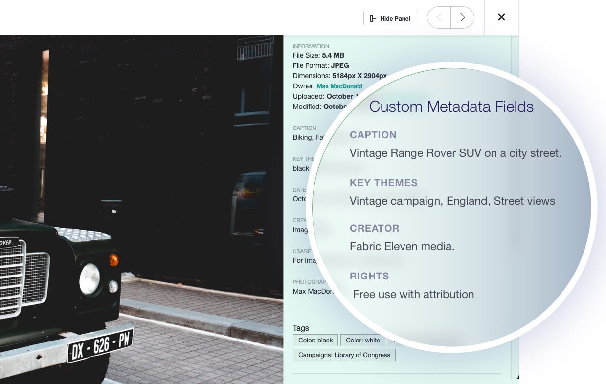 Dropbox v. Digital Asset Management — Which Solution is Best for Your