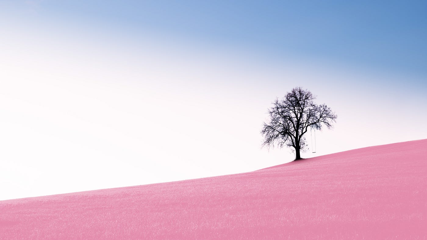A tree in the middle of a desert. The sky is blue and the sand is pink, making the image resemble the colors of the transgender pride flag.