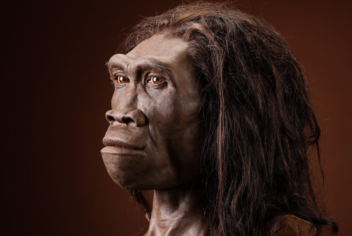 Who Lived On Earth 100 000 Years Ago By Sal Writes Lessons From History Medium