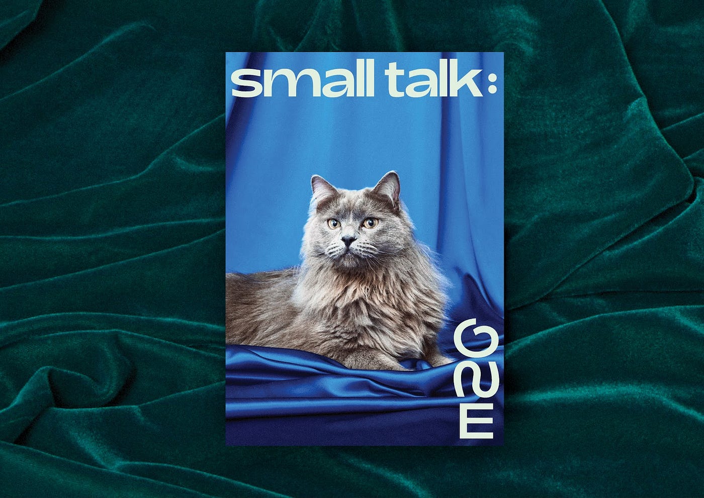 Exploring Visual Brand Identity What Does A “Cat Person” Look Like