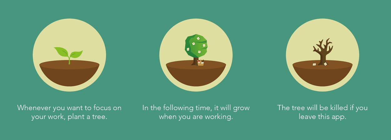 Simple timer application to allow you to focus (source: Forest App)
