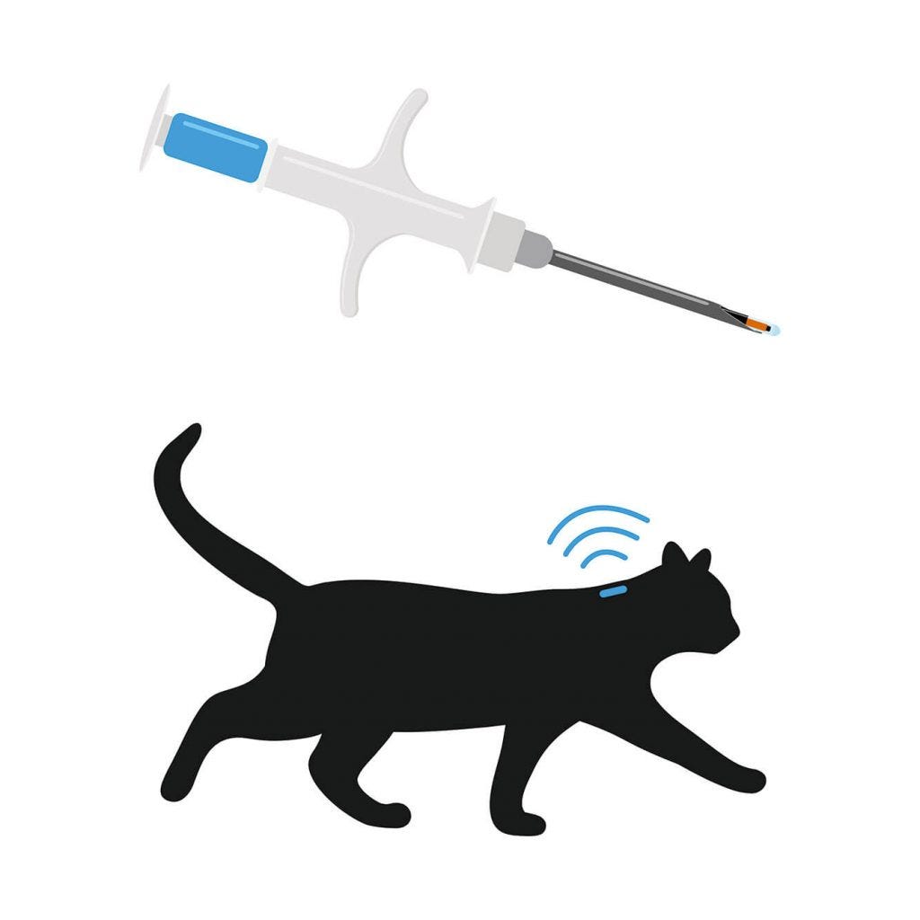 Getting your cat chipped Cat’s Best by Cat's Best UK Medium