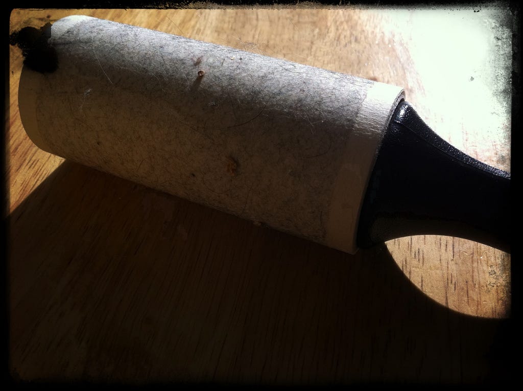 How to get dog hair off blankets? Simple methods that truly work by