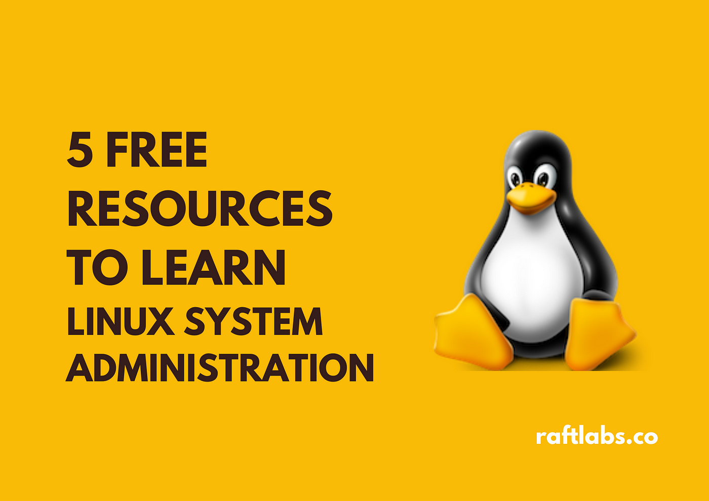 Master The Linux System Administration | by RaftLabs | Jan, 2022 | Medium