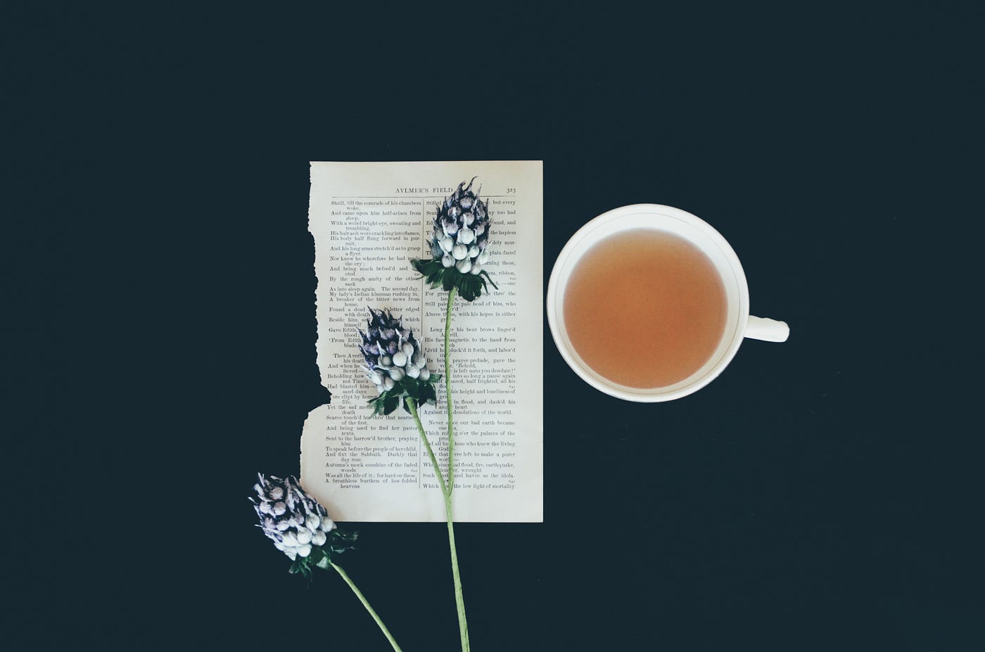 A torn piece of paper (with poetry) sits just to the left of midline. On top of the paper is a stem with three blue and white flowers coming off of it. To the right is a white cup, half-filled with light brown-colored tea. Black background underlies it all.