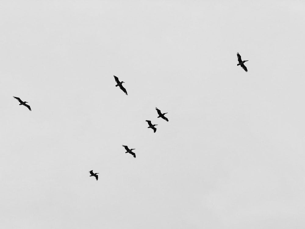 Joe Rinker – Medium