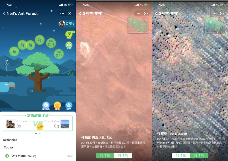 From barren land in Inner Mongolia to tree planting, Alipay Ant Forest users can see satellite images of their trees in real-time. (Source: Alizila)