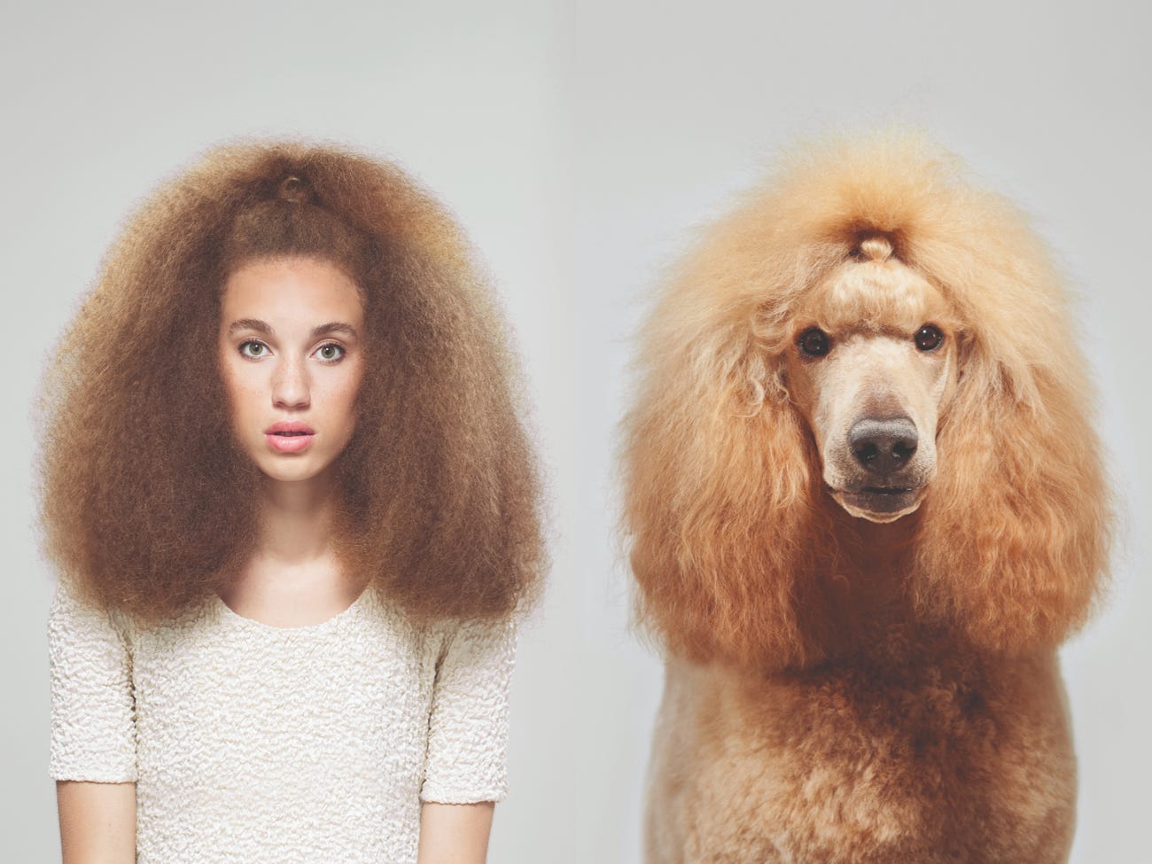 A photographer captured photos of 15 pairs of dogs and their owners