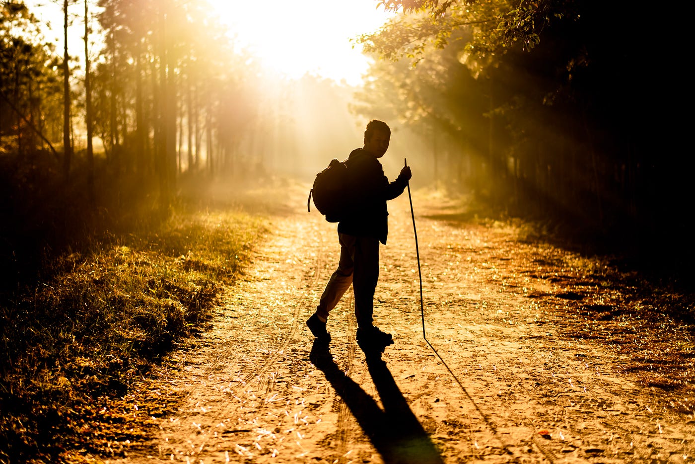 Man in silhouette walks in a woodsy area. He has walking sticks and a back back. The scene is in sepia, with the blazing sun in the middle background.
