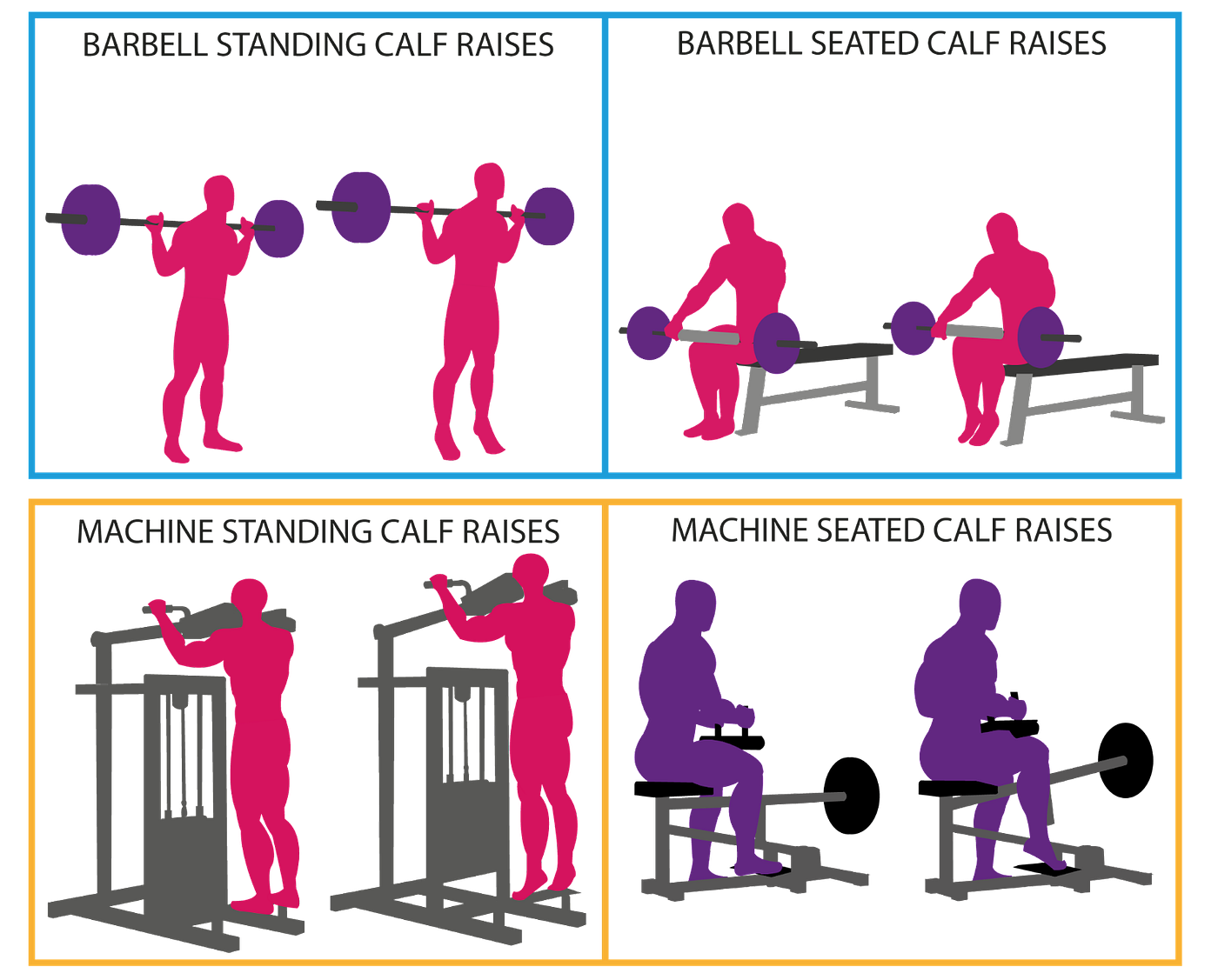 The ULTIMATE Guide to Exercise Selection for Building Muscle | by ...