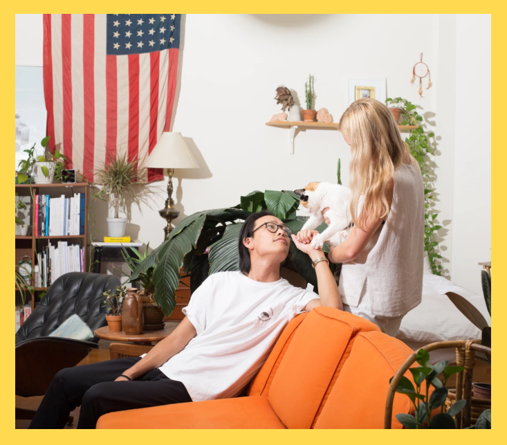 Exploring Visual Brand Identity What Does A “Cat Person” Look Like