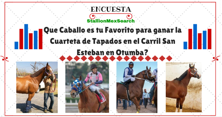 Que Caballo es tu Favorito para ganar la Cuarteta de Tapados en el Carril  San Esteban en Otumba? | by StallionMexSearch | Medium