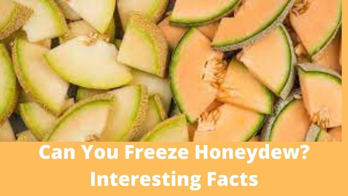 Can You Freeze Honeydew? Interesting Facts