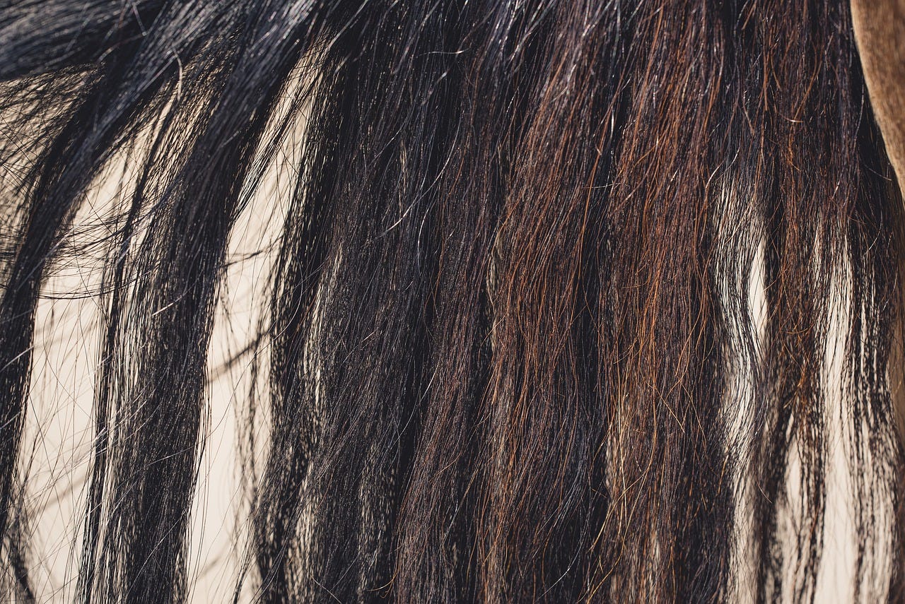 Wig Density Chart How to Find the Perfect Wig by Hippurus May