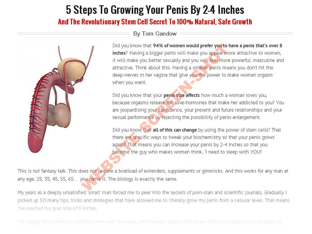 Penis growth stretches