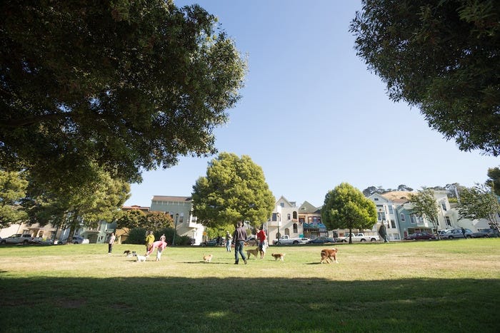 A Guide to San Francisco’s Lesser-Known Parks | by The Bold Italic ...