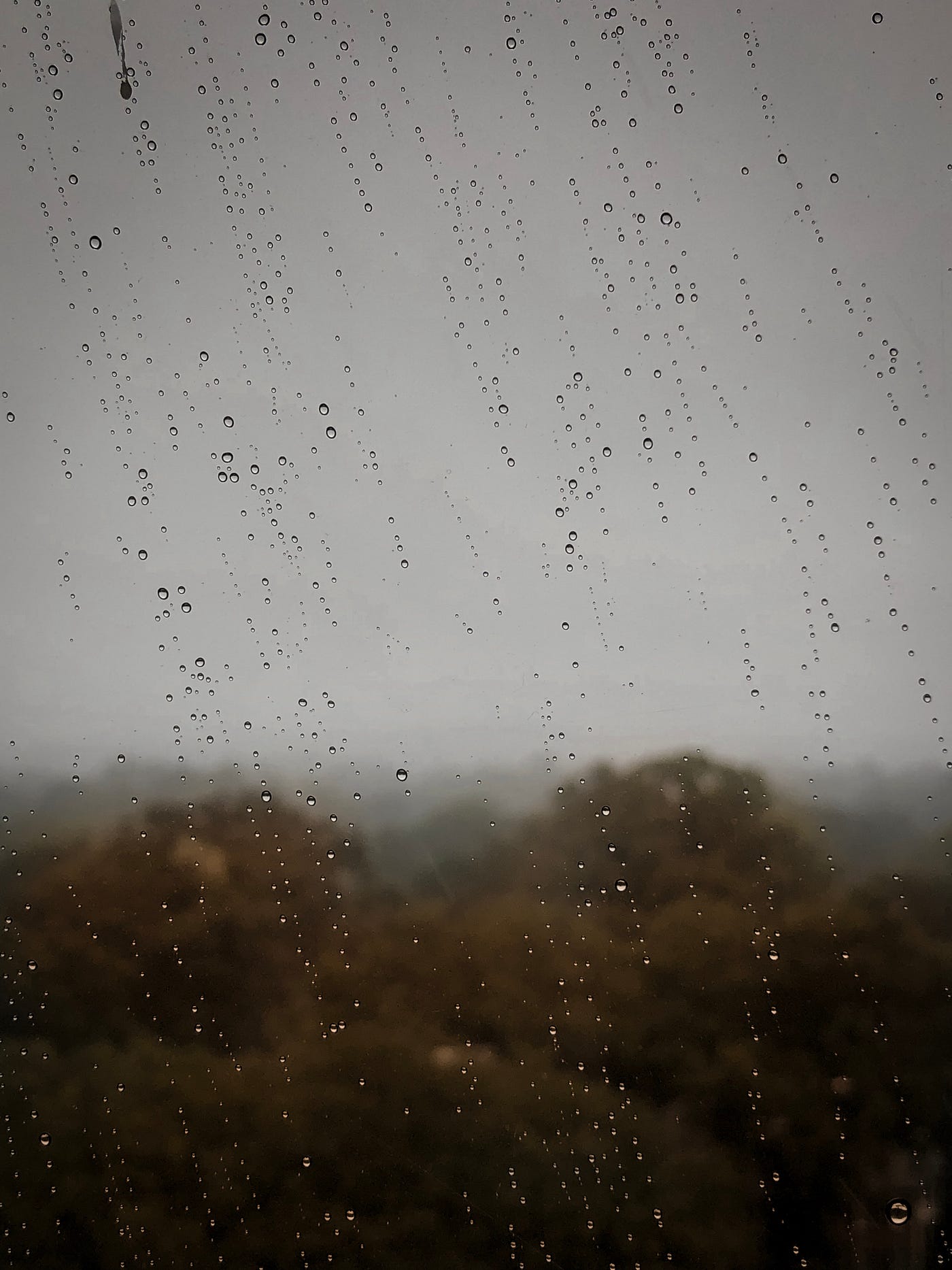 Friday — What A Beautiful Rainy Day | by Nathalie Clair | Positively ...