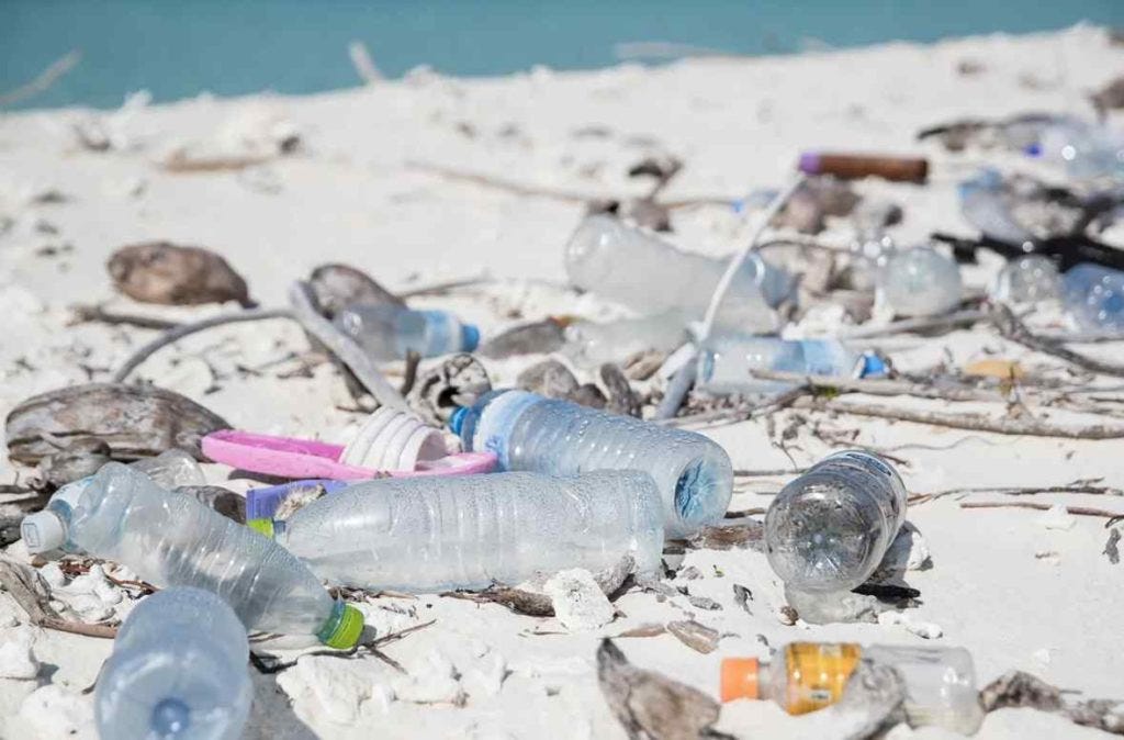 Plastic Bottles? Everyday Science 
