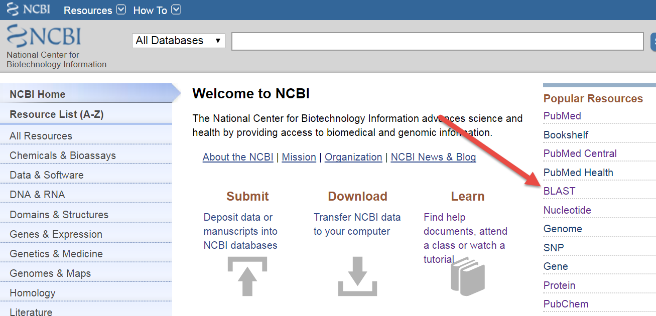 Using the NCBI BLAST Interface For Identifying Homologous Sequences In