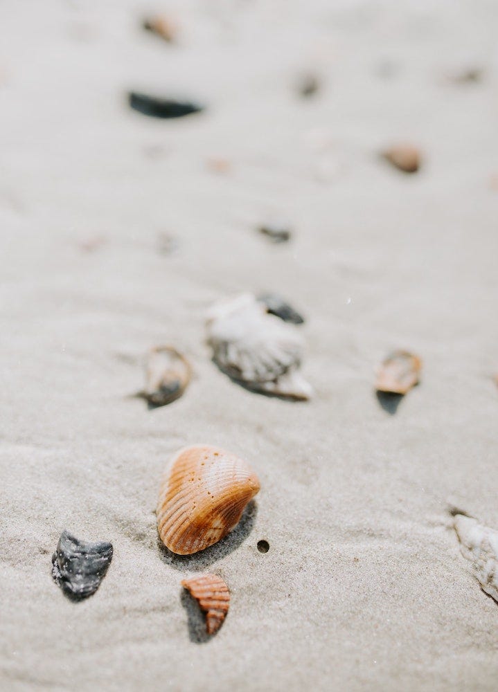 Image is purely for decorative use only and shows seashells on a sandy beach. This is one of the 101 recreational self-care ideas mentioned in this post to cultivate fun