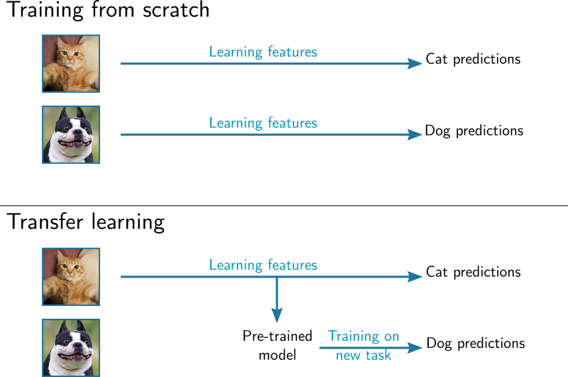 Crash Course: Create your Own Image Classification Model with PyTorch ...