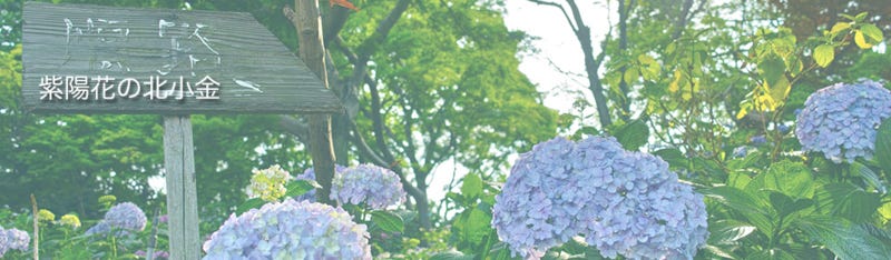あじさい咲く北小金の本土寺へ 昨年６月に書いた記事です By Hiroyuki Naito 写真 カメラ 旅 Soutei Medium