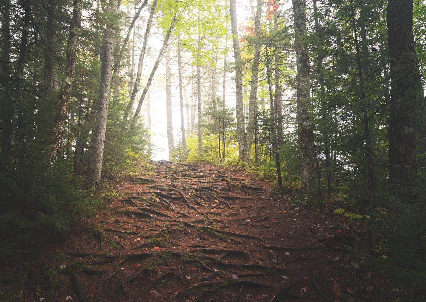 What is the CSS :root selector? What does it do? | Medium