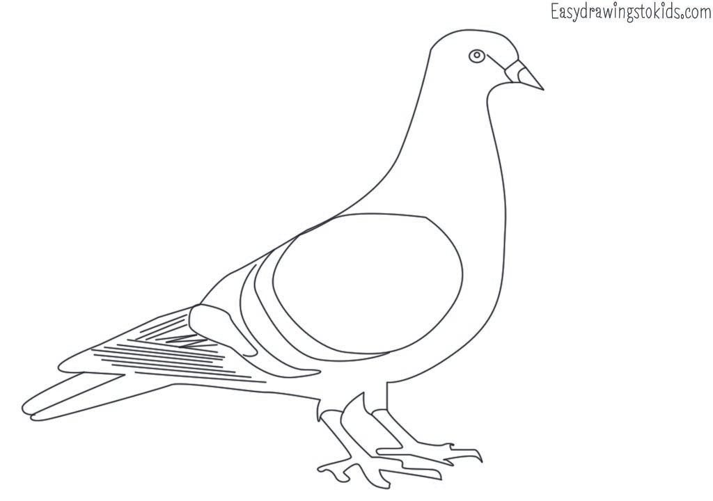 Top 21 Birds Drawings with their names (Birds coloring pages) by Artist Mind Medium