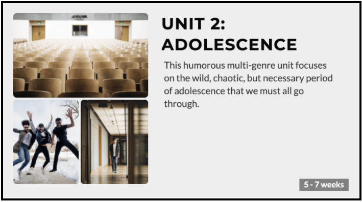 The description of Unit 2: Adolescence, which reads, "This humorous multi-genre unit focuses on the wild, chaotic, but necessary period of adolescence that we all must go through. 