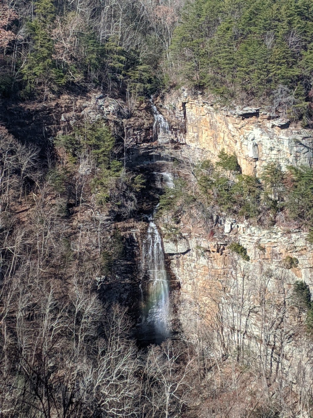 Cloudland Canyon 50k Race Report. This race took place in in