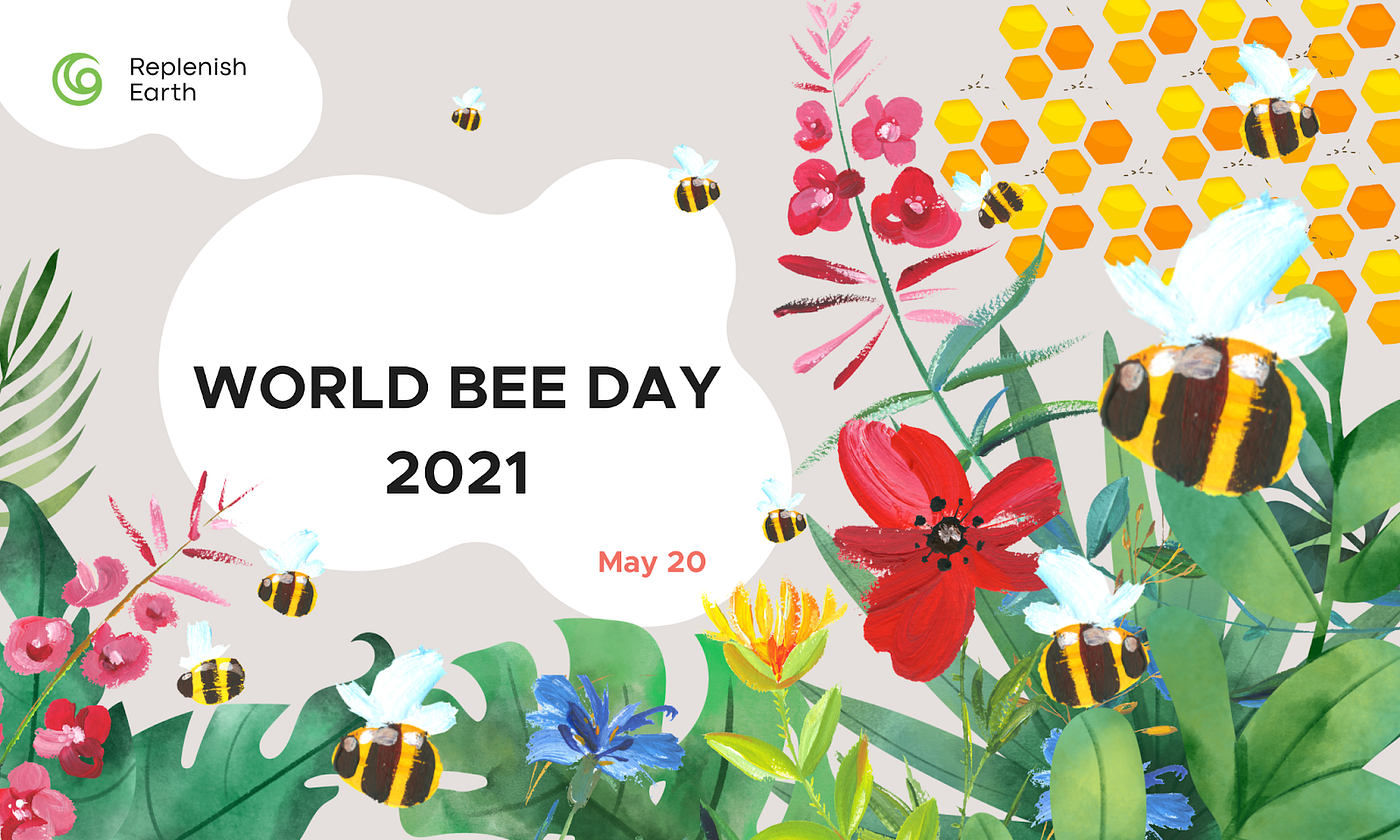 Bee A Replenisher Celebrating World Bee Day On The th By Replenish Earth Replenish Earth Medium
