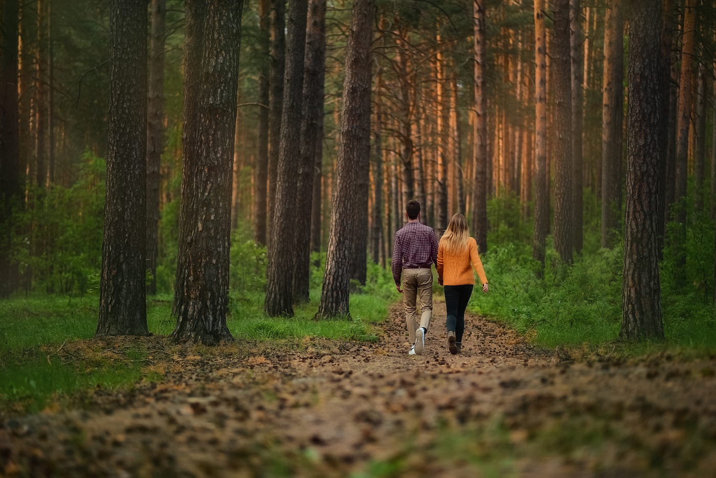 A Walk Through the Woods. A Poem | by J.W. Parr | P.S. I Love You