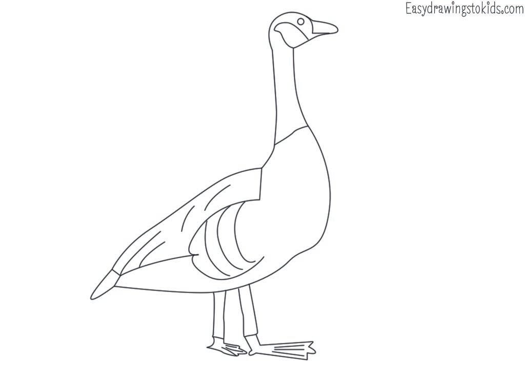 Top 21 Birds Drawings with their names (Birds coloring pages) by Artist Mind Medium