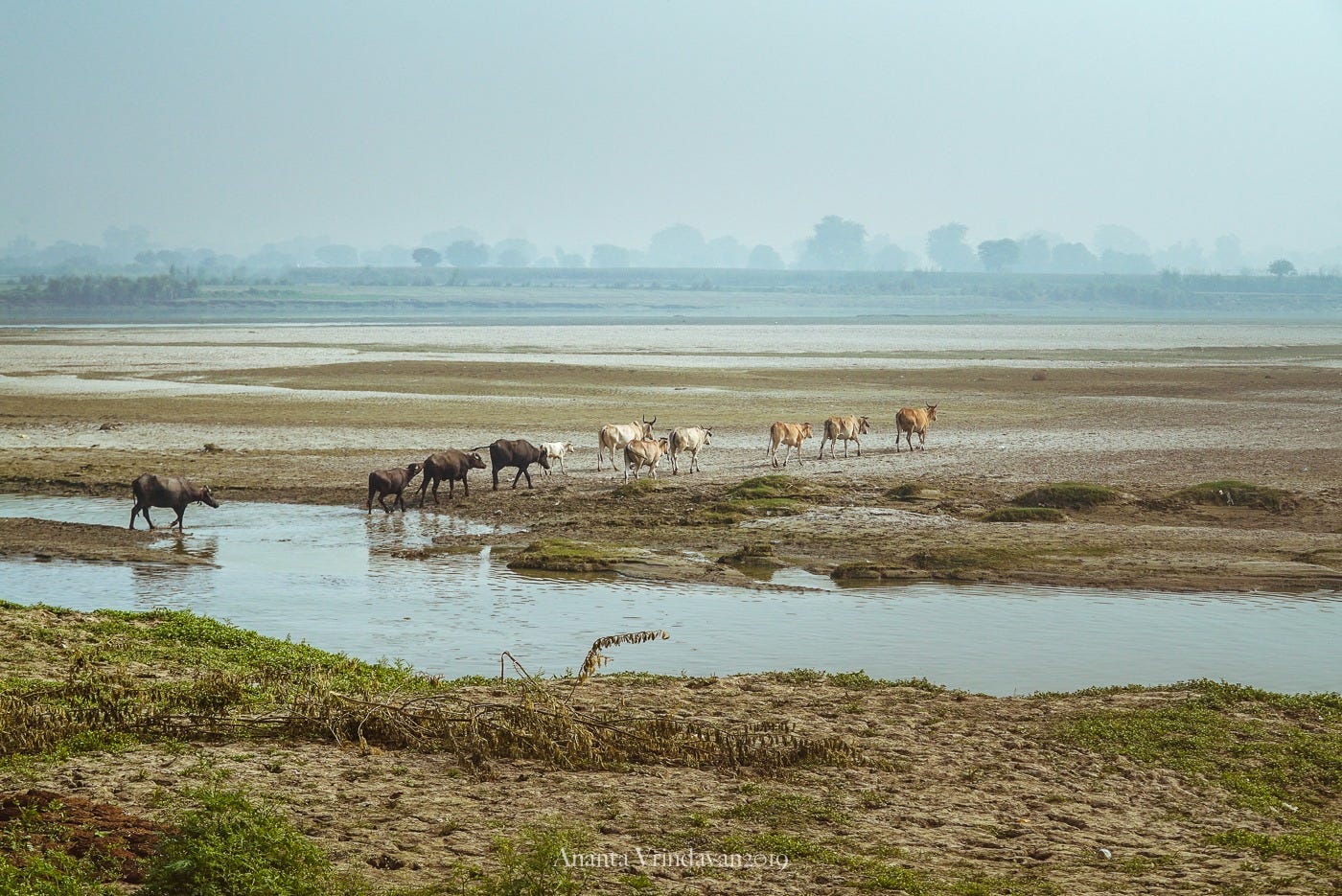 O Chira ghat, you are decorated with