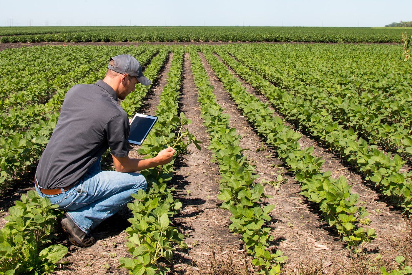 DroneDeploy Releases A Complete Drone Software Solution For Ag 