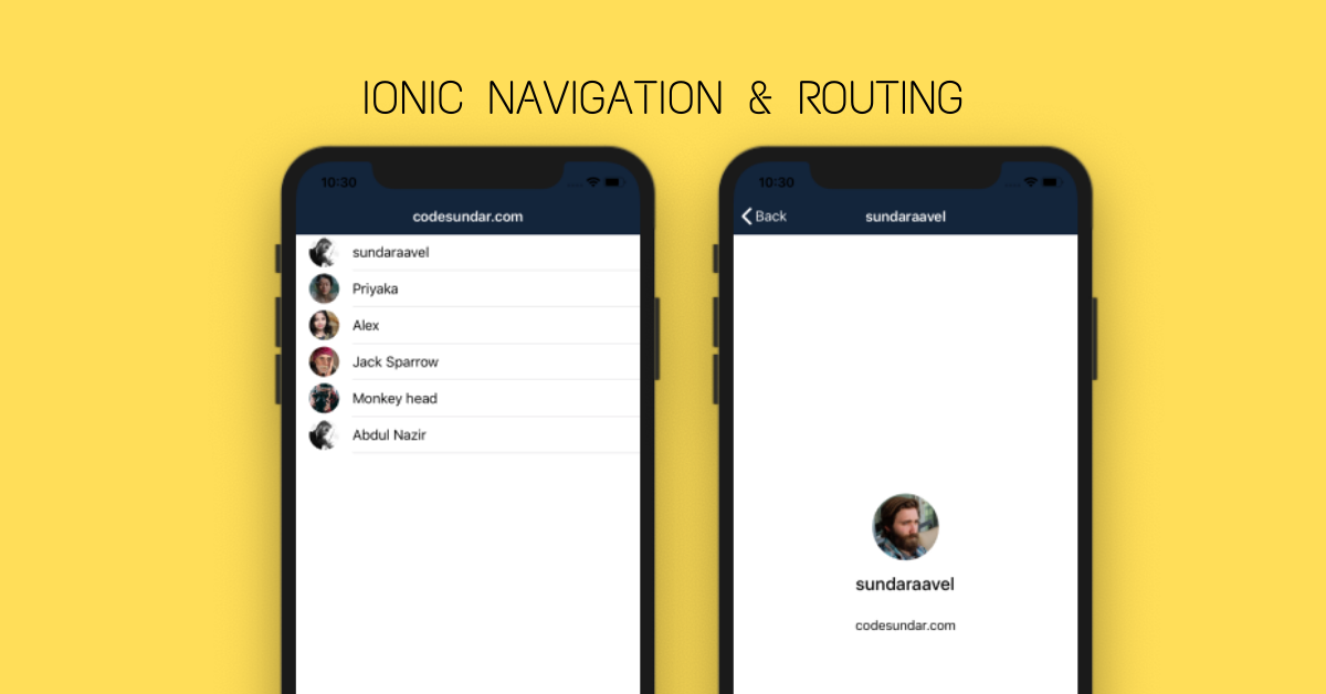 ionic 4 gps