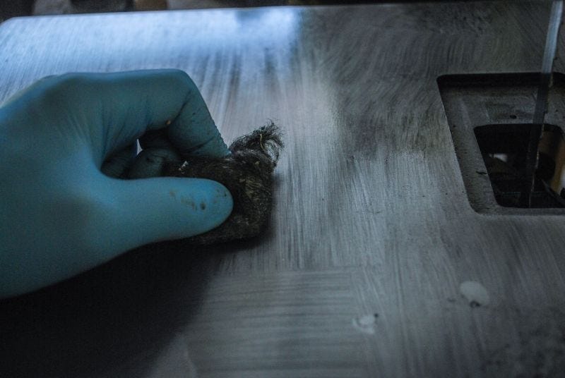 Shop Skills How to Care For Your Cast Iron Table Tops by Douglas