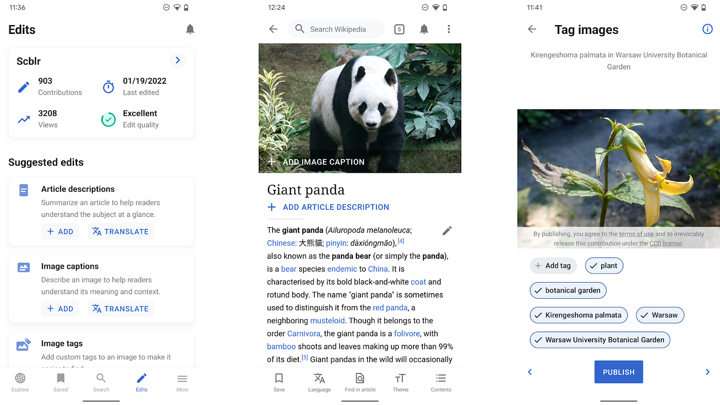 micro editing experience on Wikipedia Android app