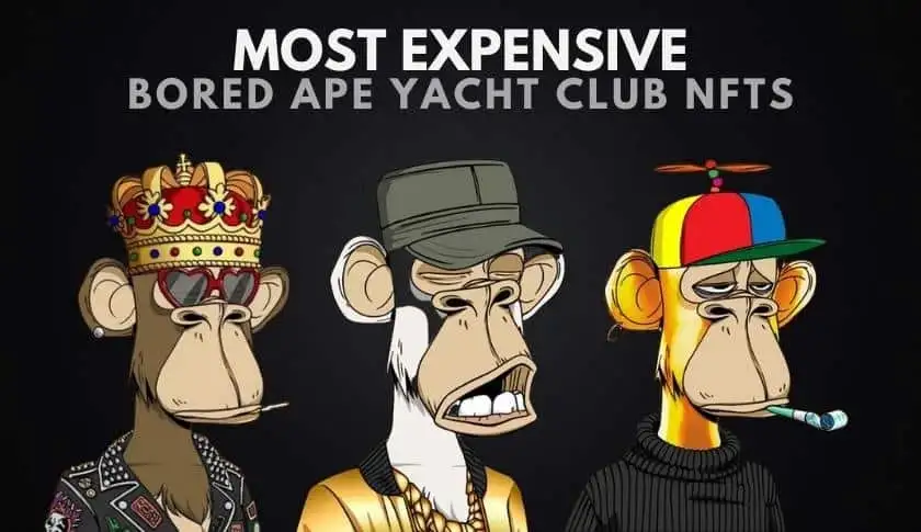 Bored Ape #8817 is one of the most expensive BAYC NFT to ever be sold, a whopping $3.4 Million!