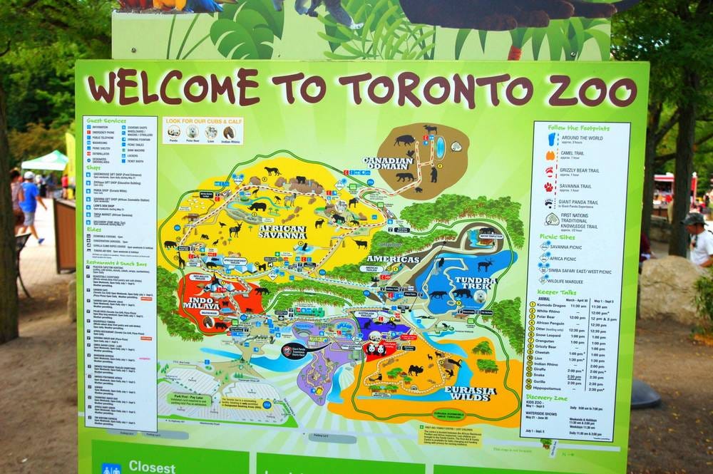 Destination Augmented Reality And Pokemon Go At The Toronto Zoo By Chris Backe Worthy Go Entro Games Medium