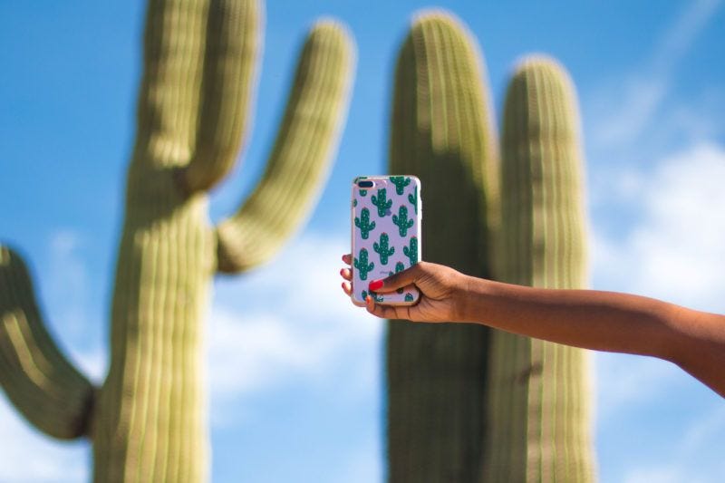 Sonix Cactus iPhone Case