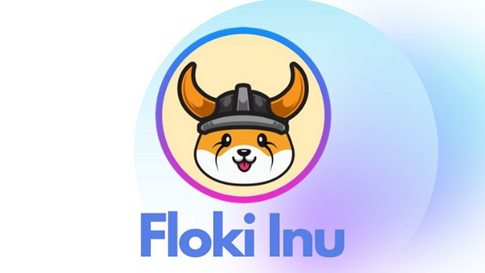 How to pay salaries in Floki Inu